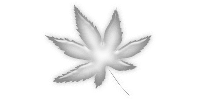 How long will a Florida
Medical Marijuana Card be Valid ?