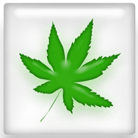 Florida Medical Marijuana
Makes the Ballot Says
Florida Supreme Court