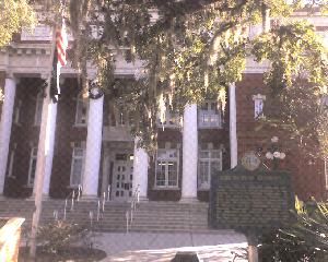 Cannabis, Growhouse, Marijuana Grow House, Spring Hill Marijuana Grow House,